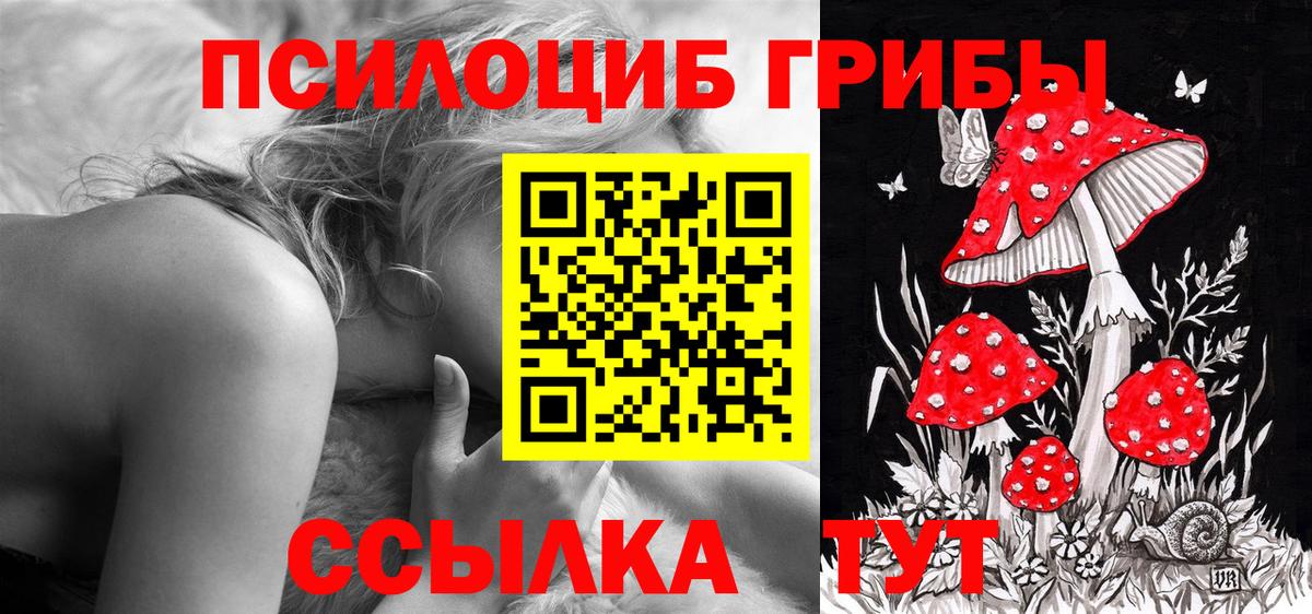 Псилоцибиновые грибы прущие грибы Арсеньев