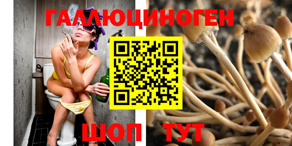 Арсеньев  Галлюциногенные грибы ЛСД  Вход с VPN  Галлюциногенные грибы ЛСД 